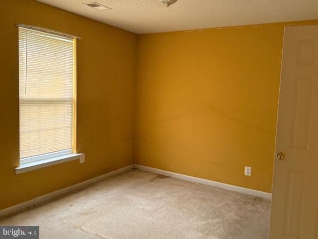 202 Williamsburg Circle photo 13