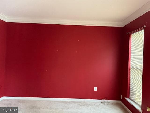 202 Williamsburg Circle photo 14