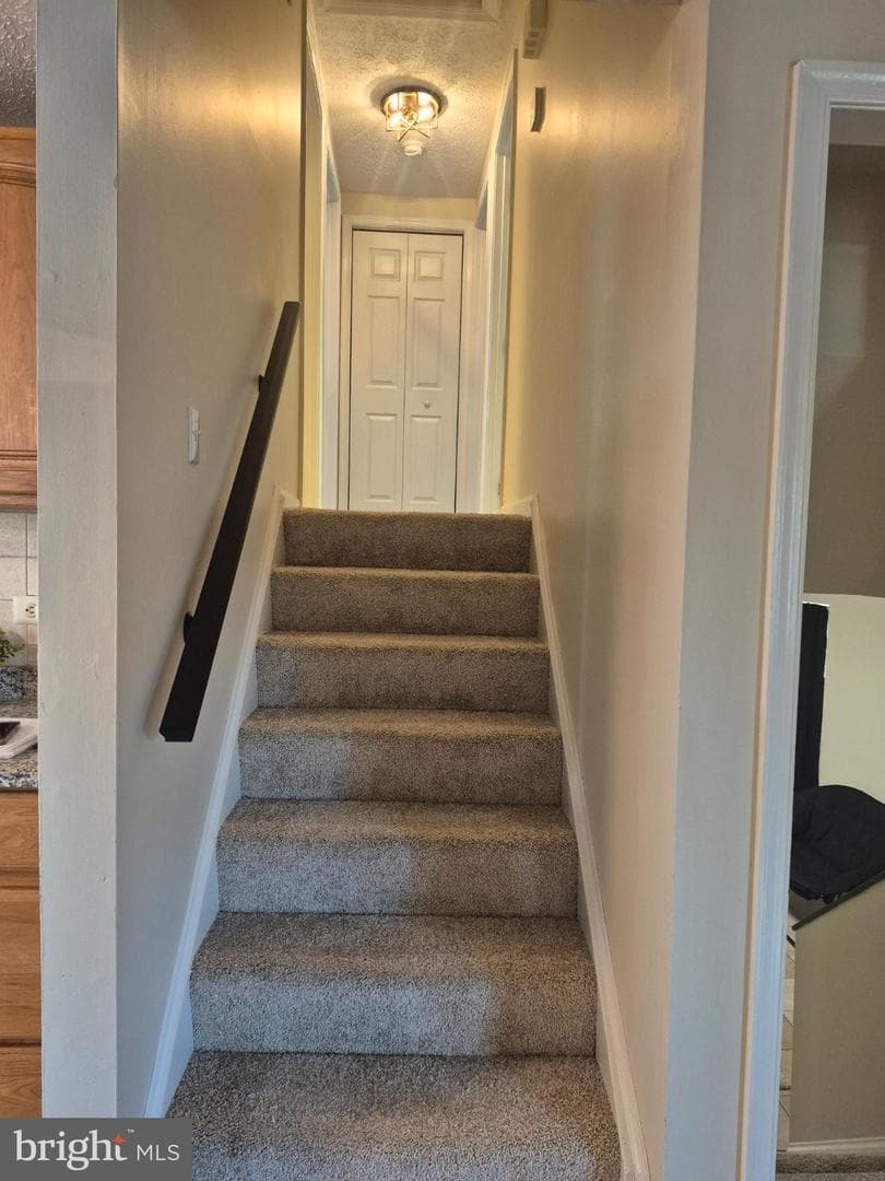 2217 Pinefield Way photo 21