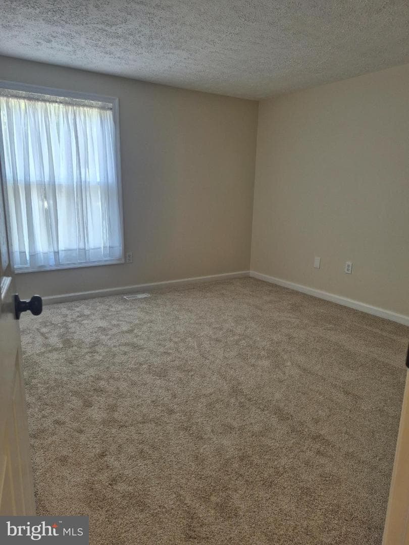 2217 Pinefield Way photo 28