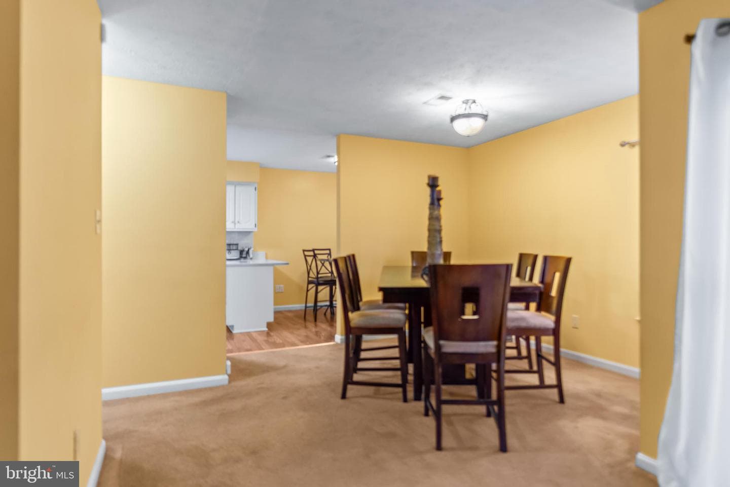 6221 Polar Bear Court photo 10