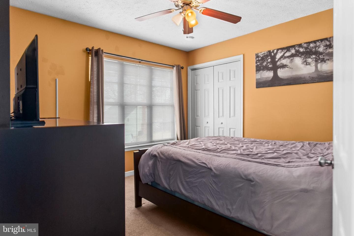 6221 Polar Bear Court photo 26