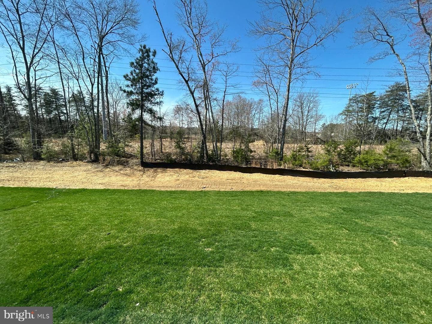 10095 Shenandoah Lane photo 5