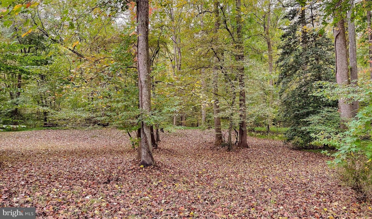 513 Clarks Run Road photo 39