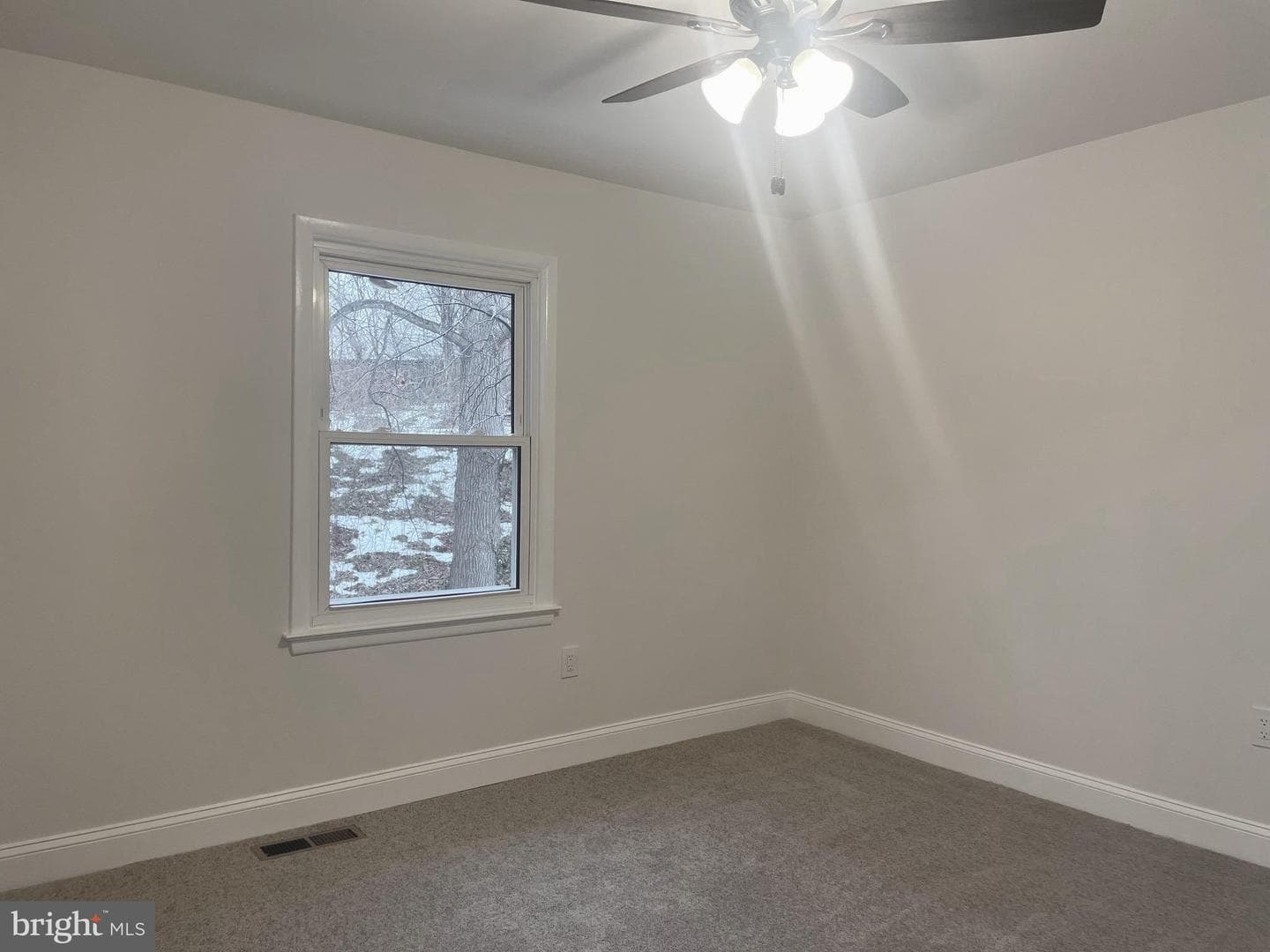 2106 Boxwood Circle photo 19