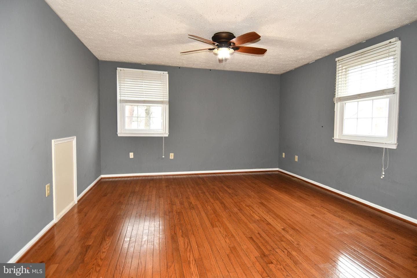6724 Dolphin Court photo 37