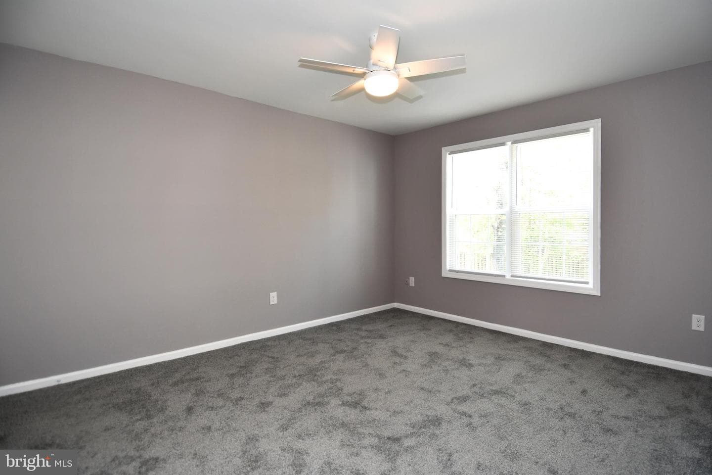 4706 Rookewood Place photo 25