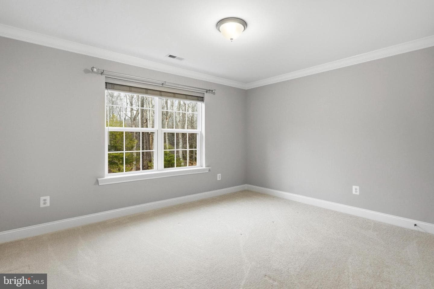 7930 Justice Chase Ct photo 70