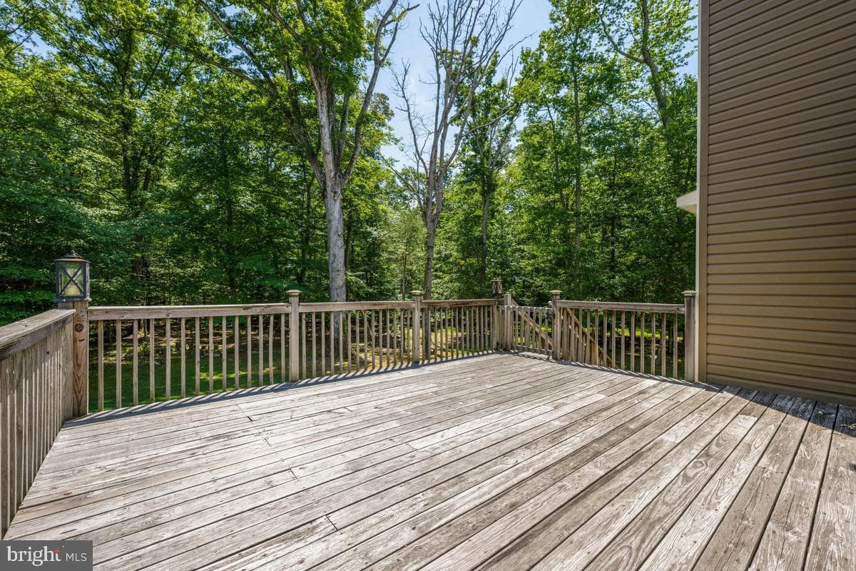 14426 Shadow Ridge Court photo 46