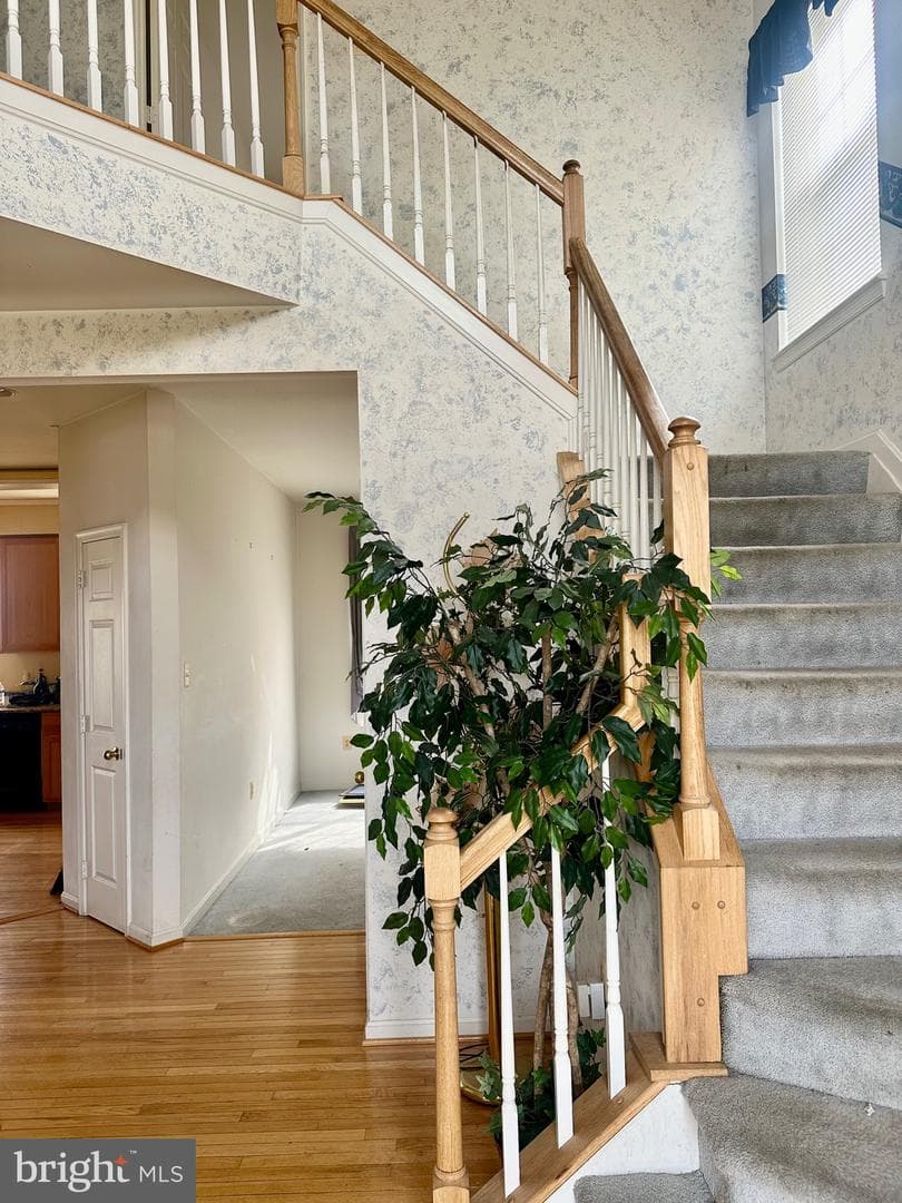 11701 Thrasher Court photo 4