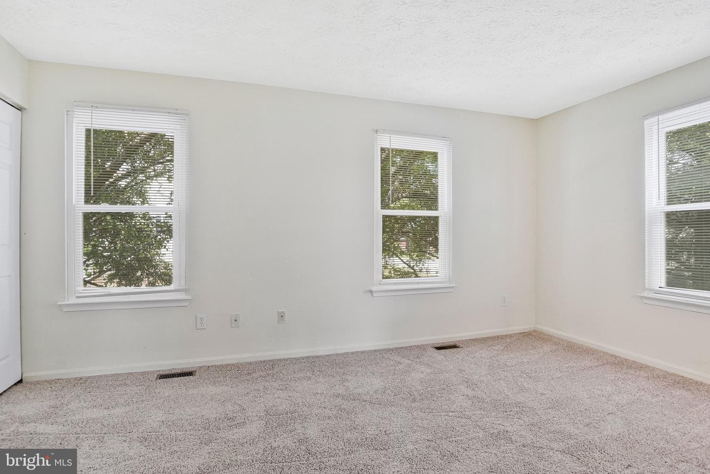 1 Dale Drive photo 20