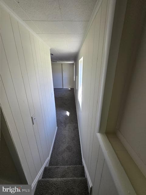 12276 Wendy Lane photo 15
