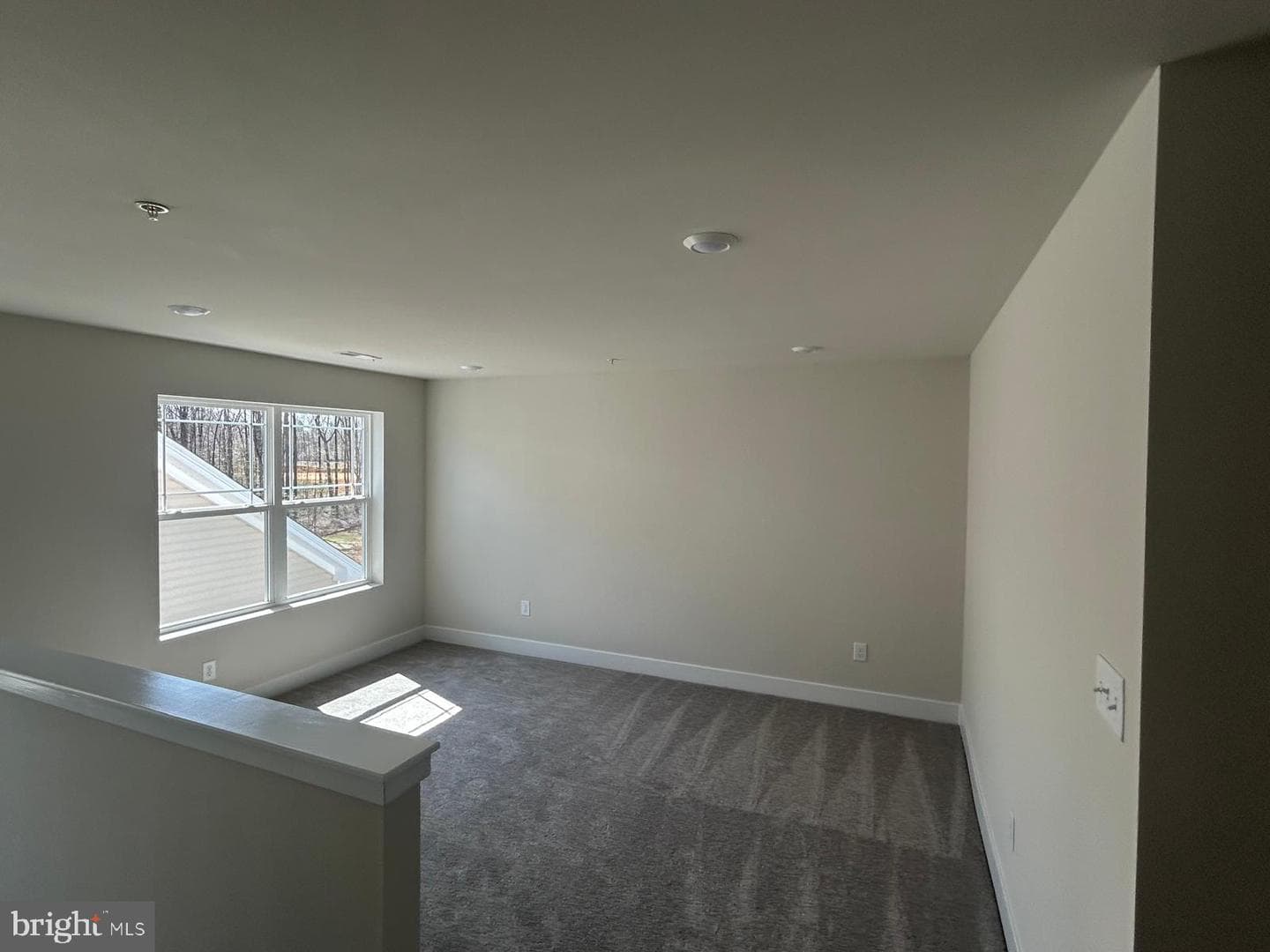 10135 Shenandoah Lane photo 12