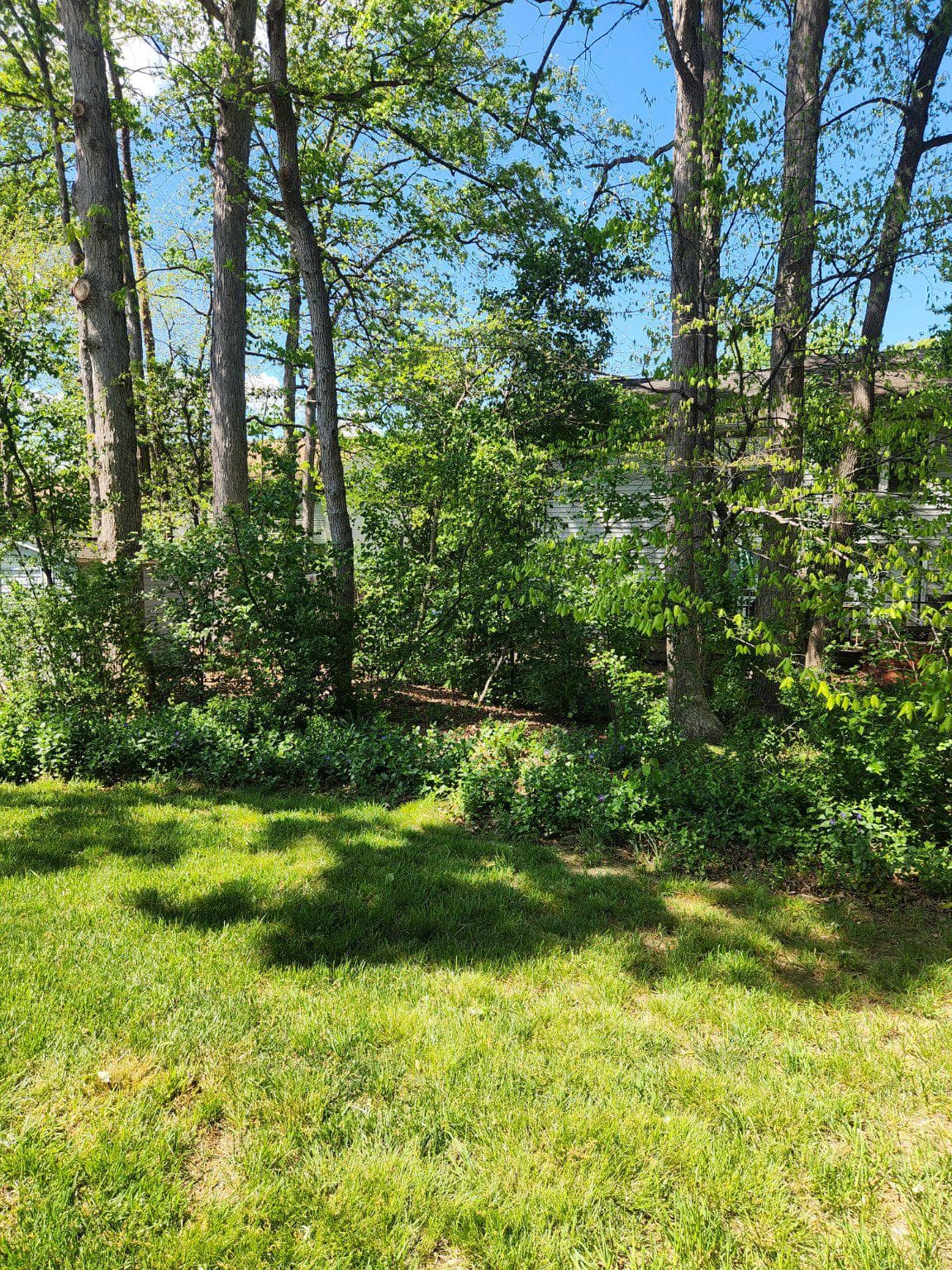 4194 Log Teal Drive photo 63