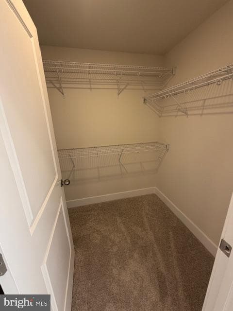 10581 Great Basin Pl photo 13