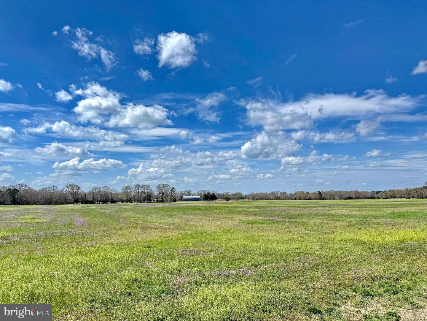 13922 River Road photo 44