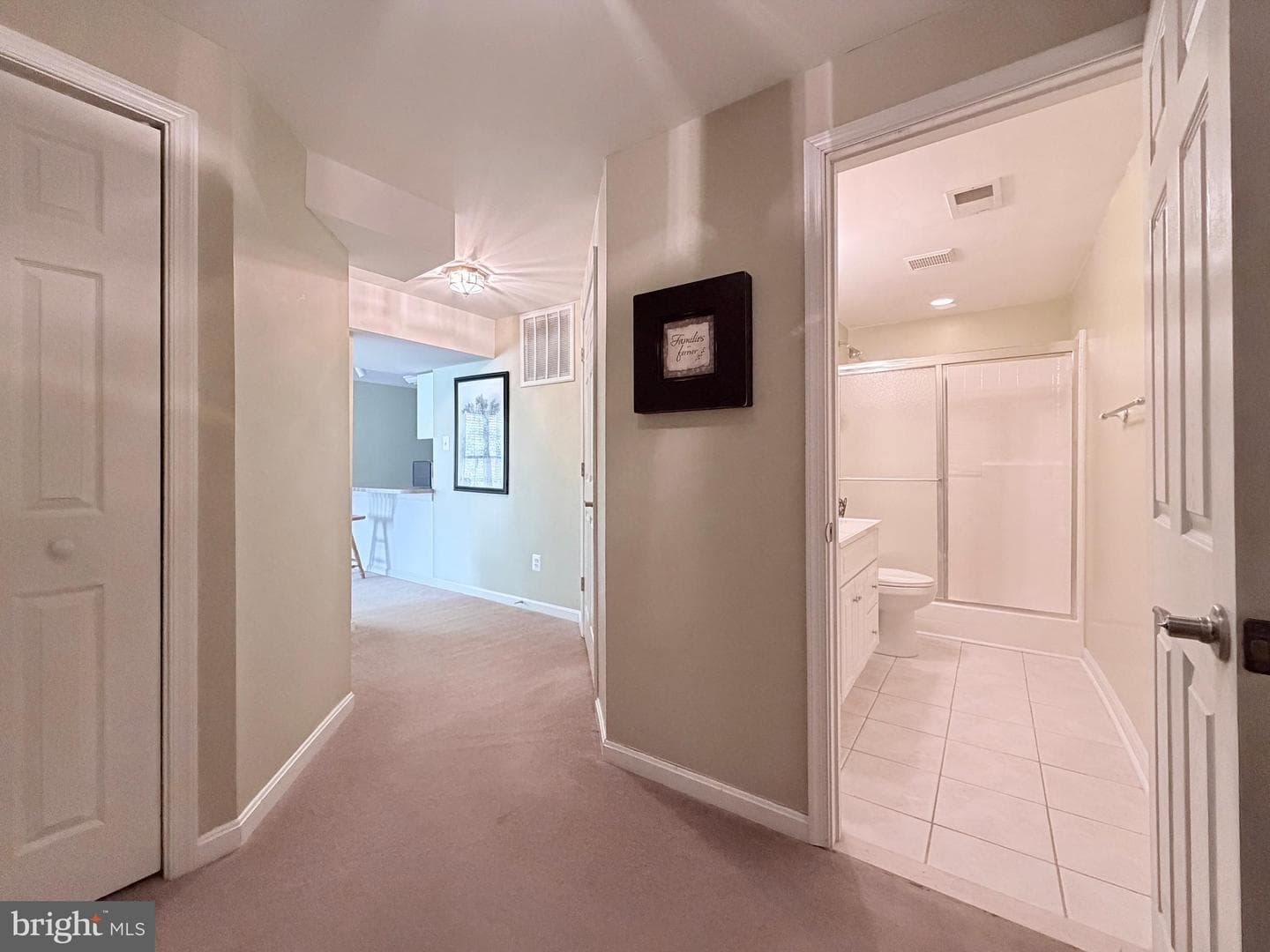 1019 Norfolk Drive photo 62