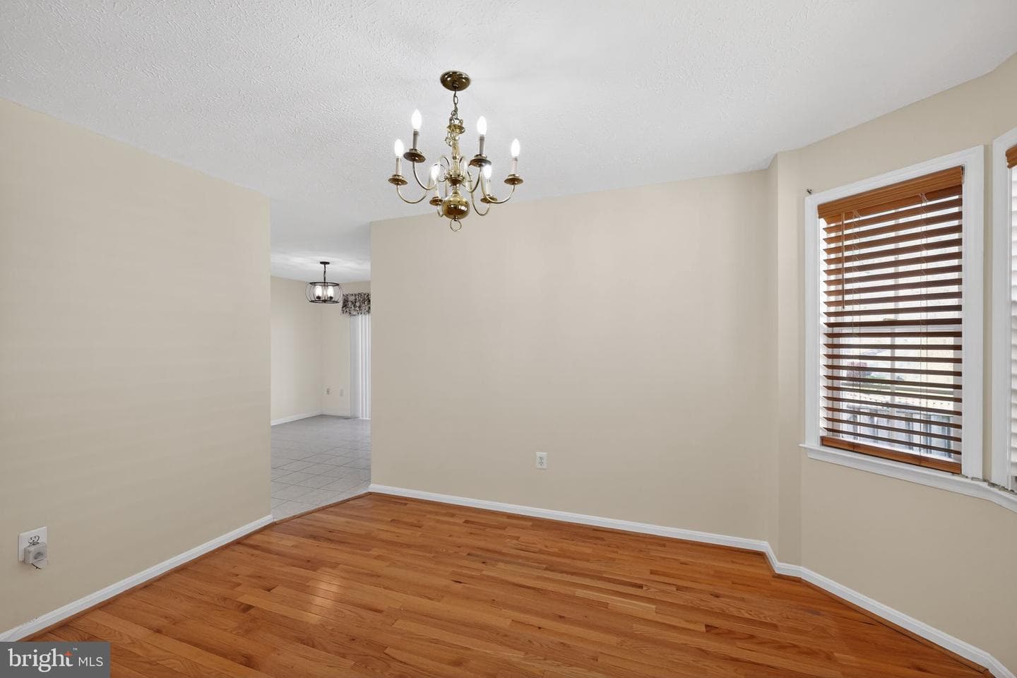 10325 Cassidy Court photo 8
