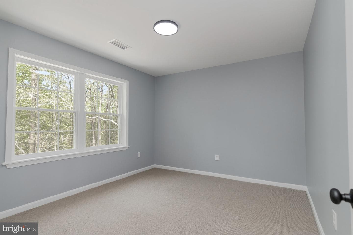 12888 Leman Lane photo 27