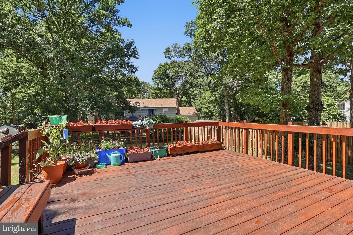 3651 Sassafras Drive photo 11