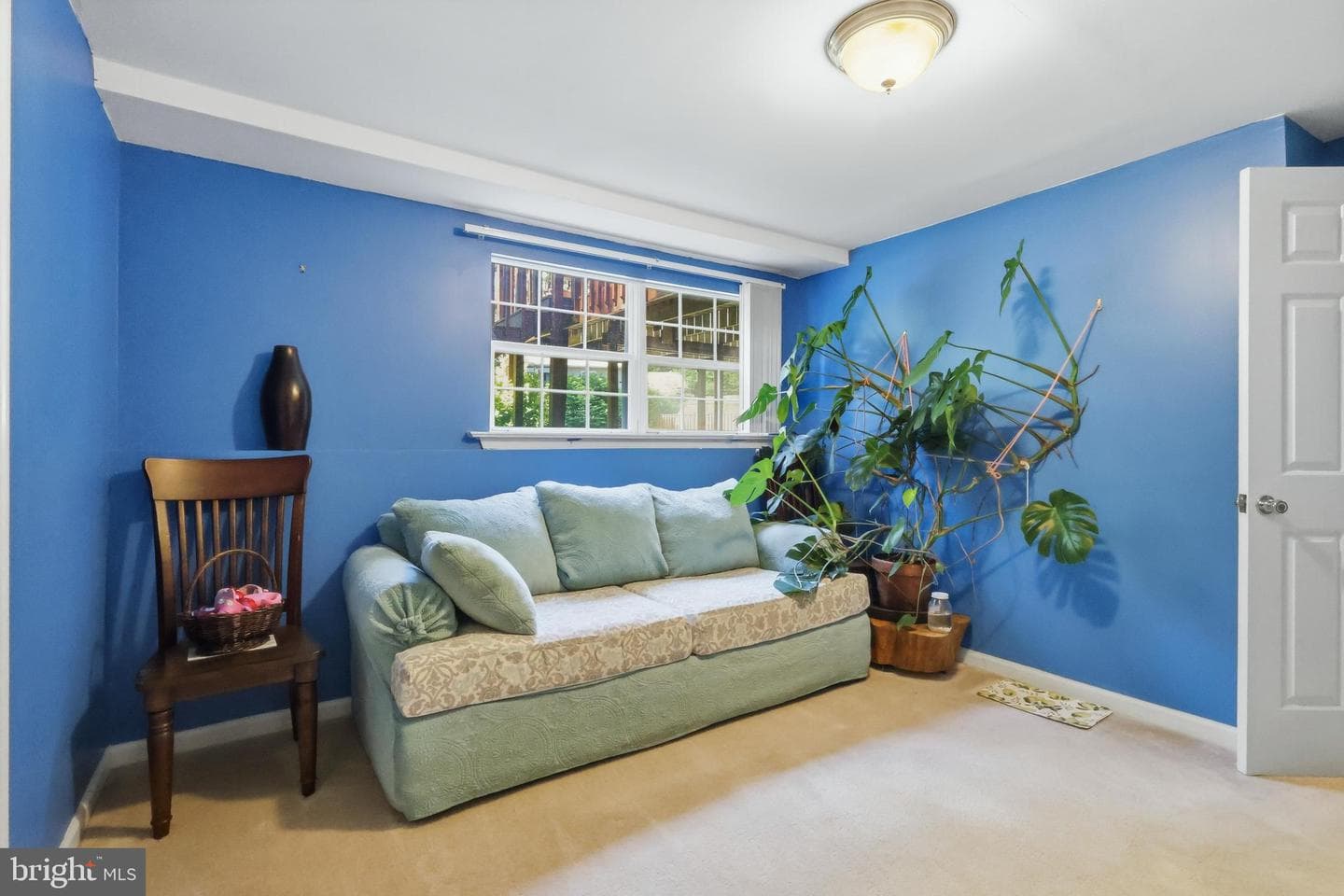 3651 Sassafras Drive photo 9