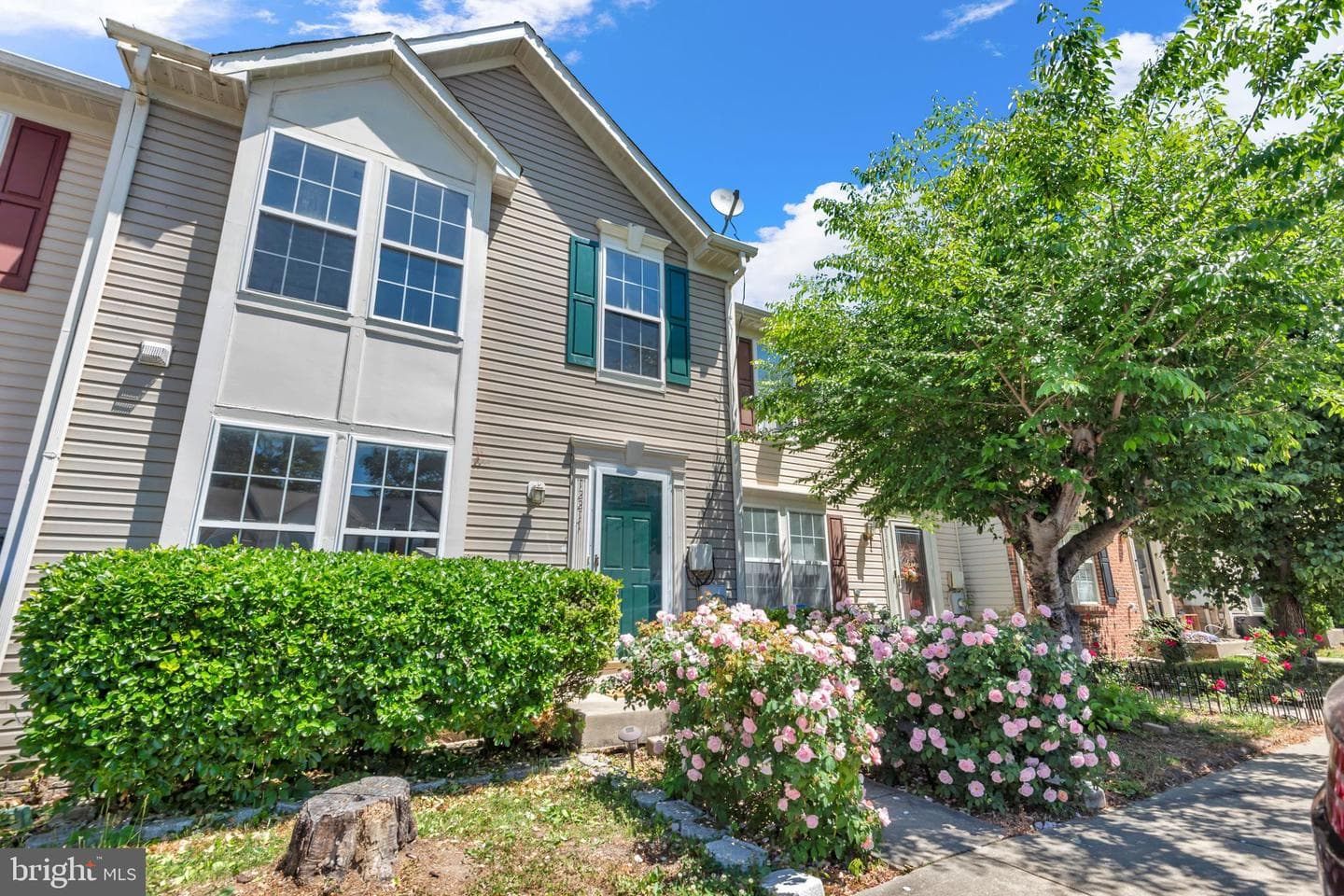 12217 Sweetwood Place photo 3