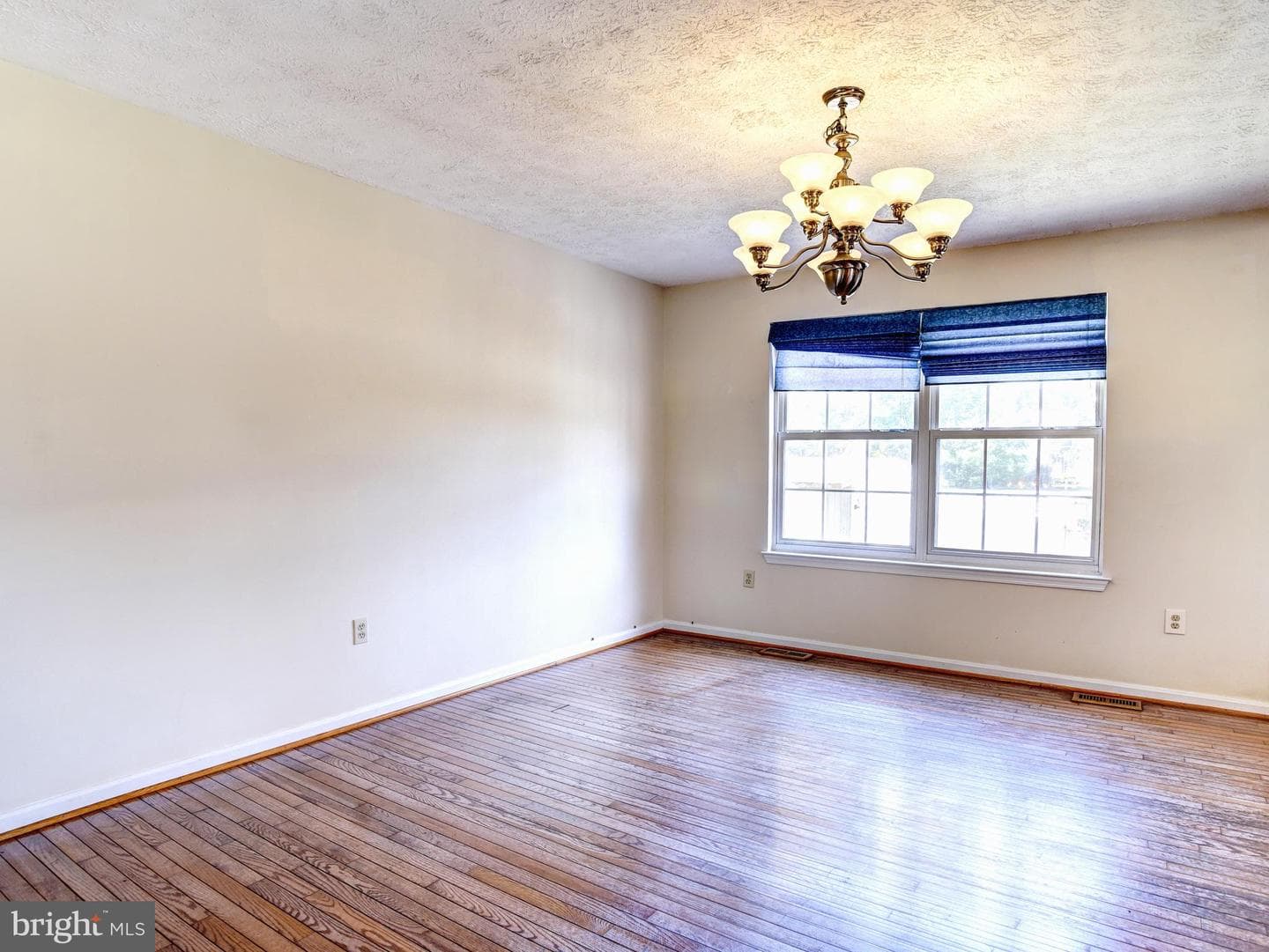 10389 Chamberlin Court E photo 7