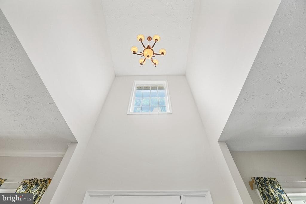15212 Truman Manor Lane photo 23