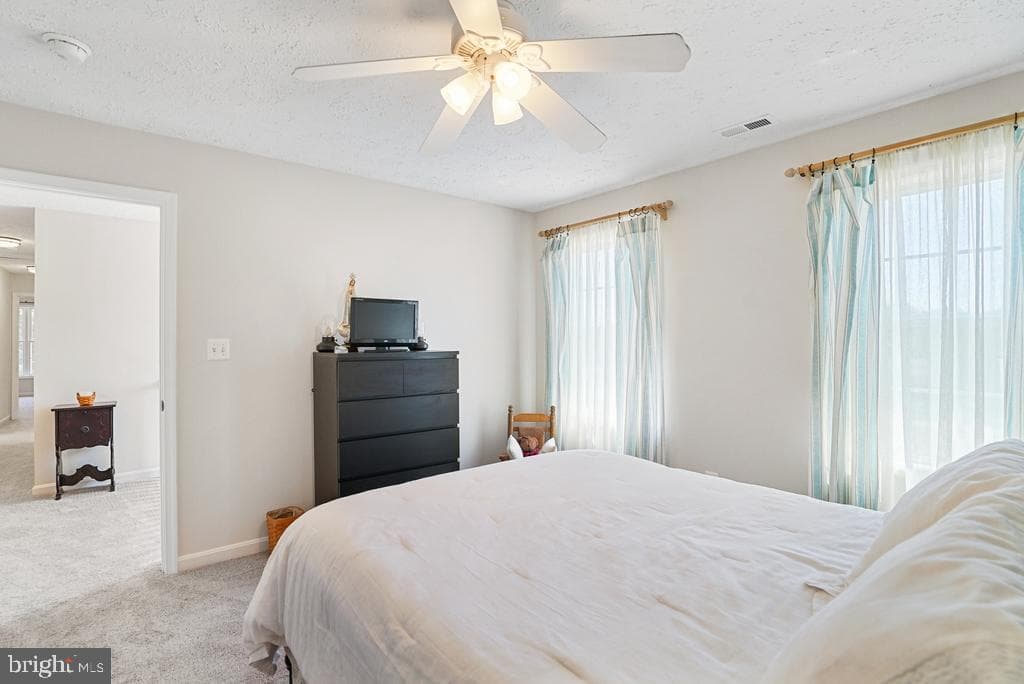 15212 Truman Manor Lane photo 28