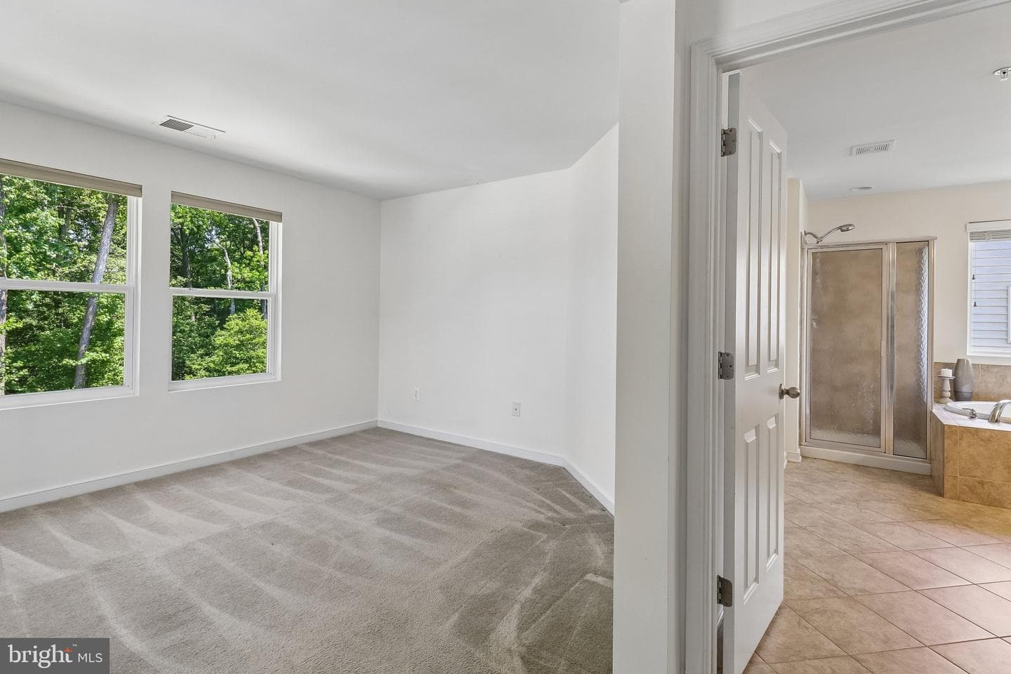 12254 Goldstone Court photo 47