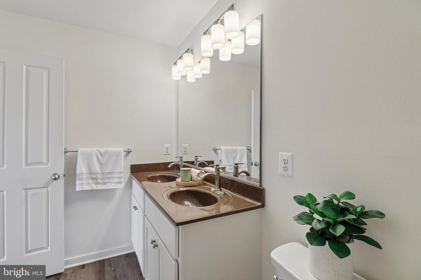 12254 Goldstone Court photo 55