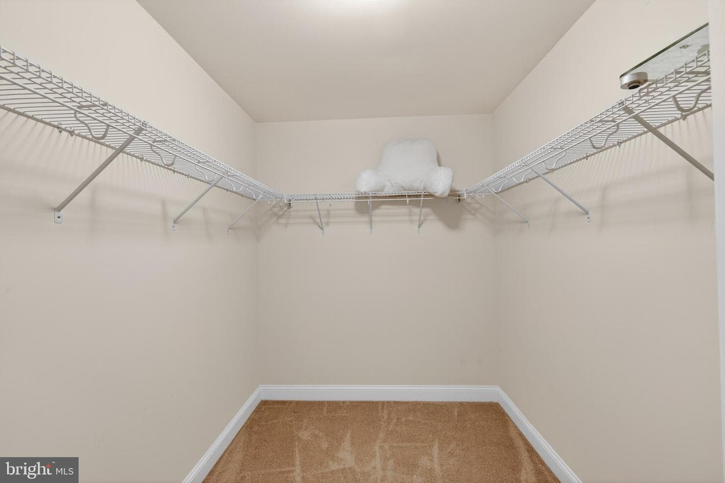 11077 Mcintosh Court photo 28