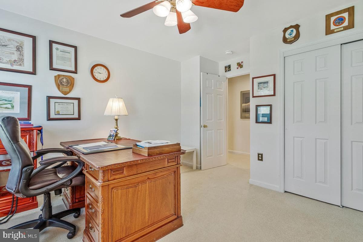 8809 Cottongrass Street photo 48
