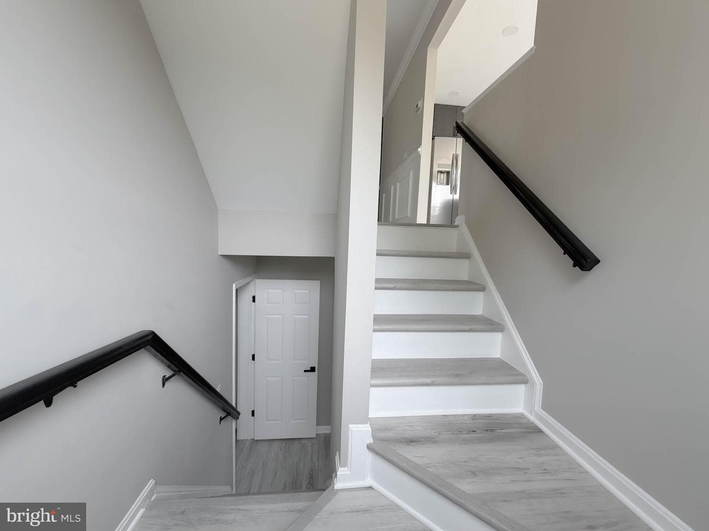 2980 Mourning Dove #f photo 40