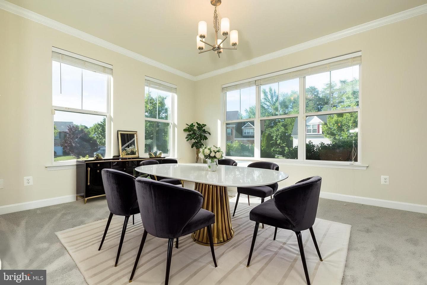 10312 Stewards Chance Lane photo 3
