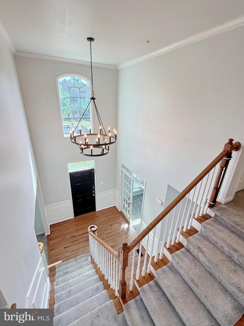 3429 Linden Grove Drive photo 68