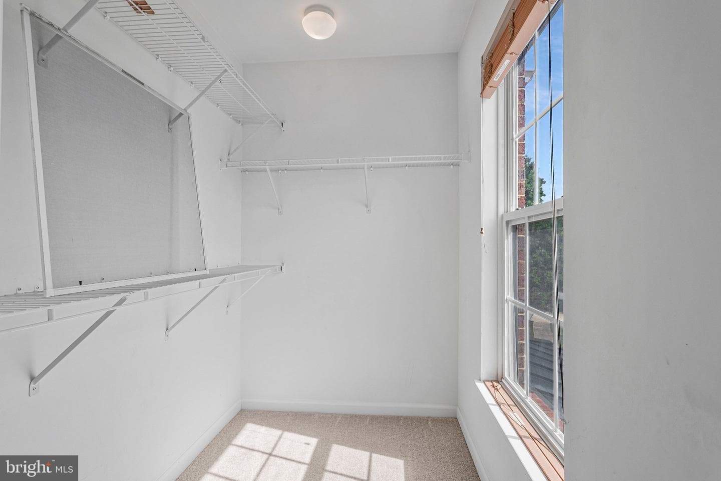 9252 Senna Court photo 37