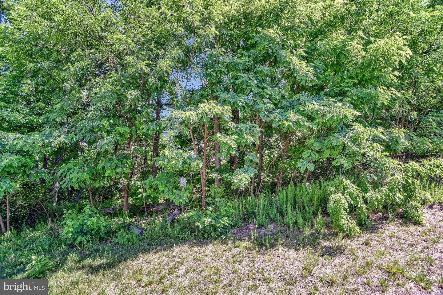 2950 Knight Ct photo 44