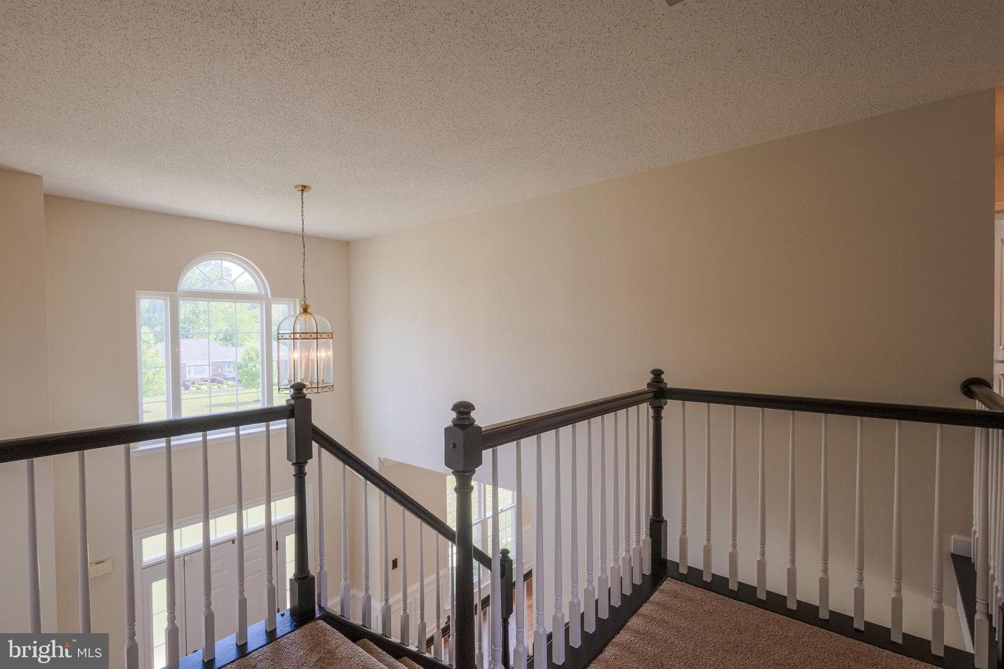 12438 Whisper Creek Court photo 23