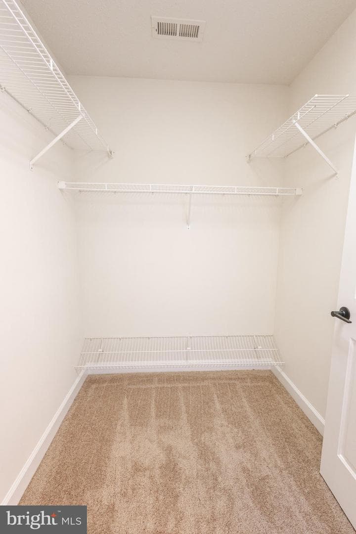 12438 Whisper Creek Court photo 42