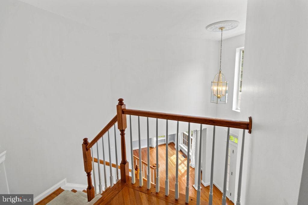 8085 Norwich Court photo 74