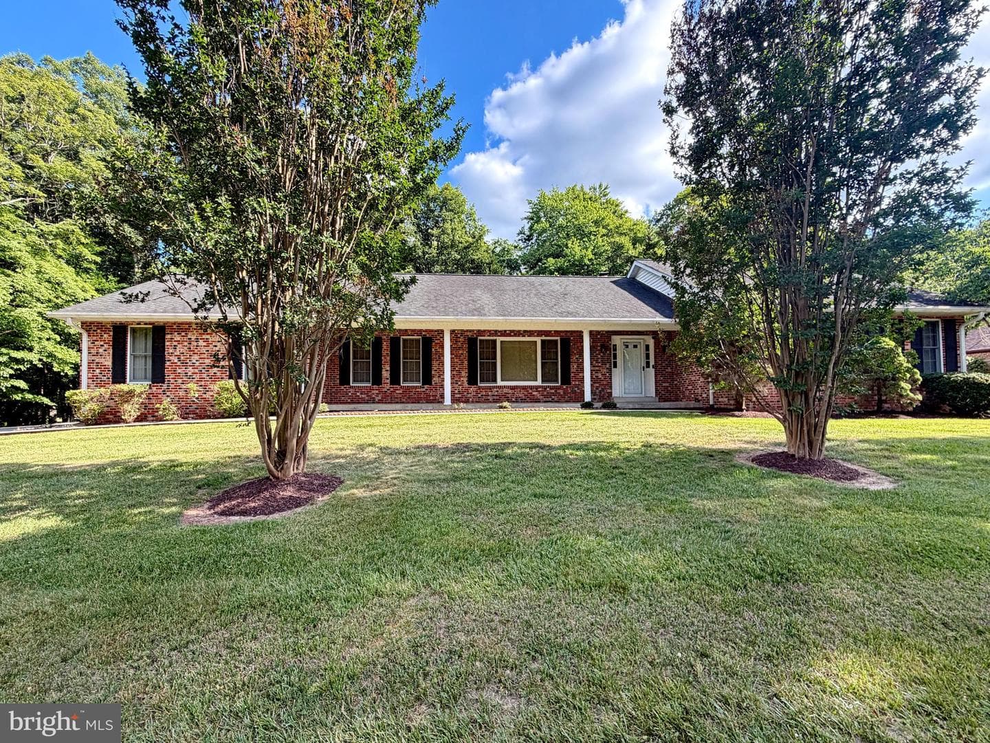 6499 Aura Drive photo 5