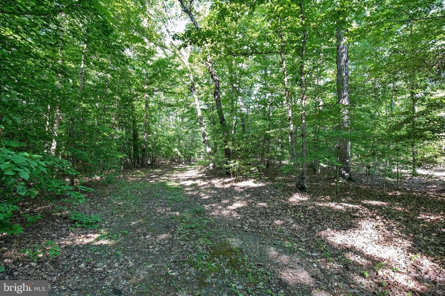 11645 Mount Victoria Road photo 35