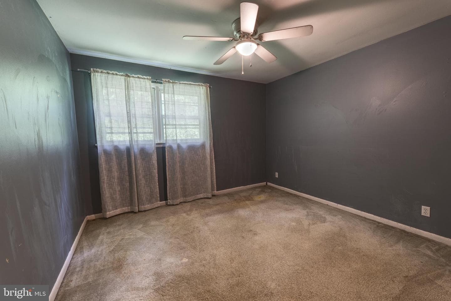 13531 Holly Spring Drive photo 16