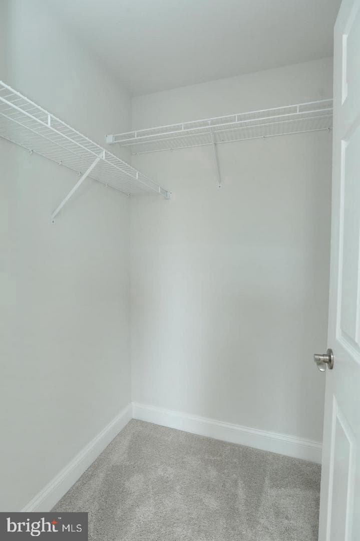 3116 Alfalfa Circle photo 34