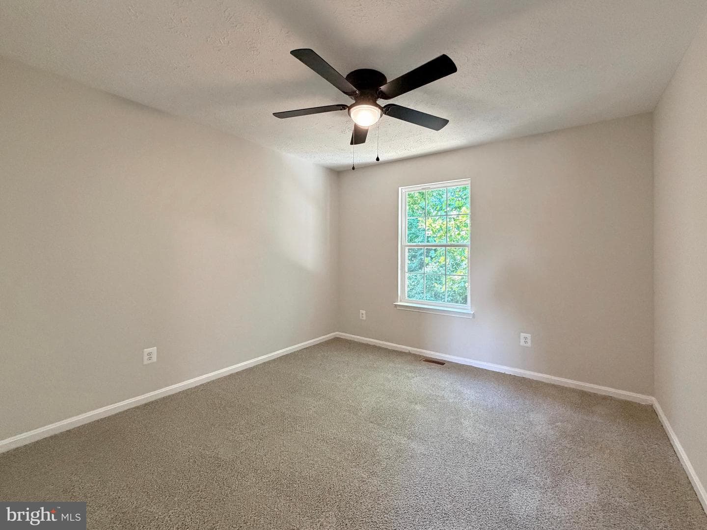 16 Chinaberry Lane photo 29