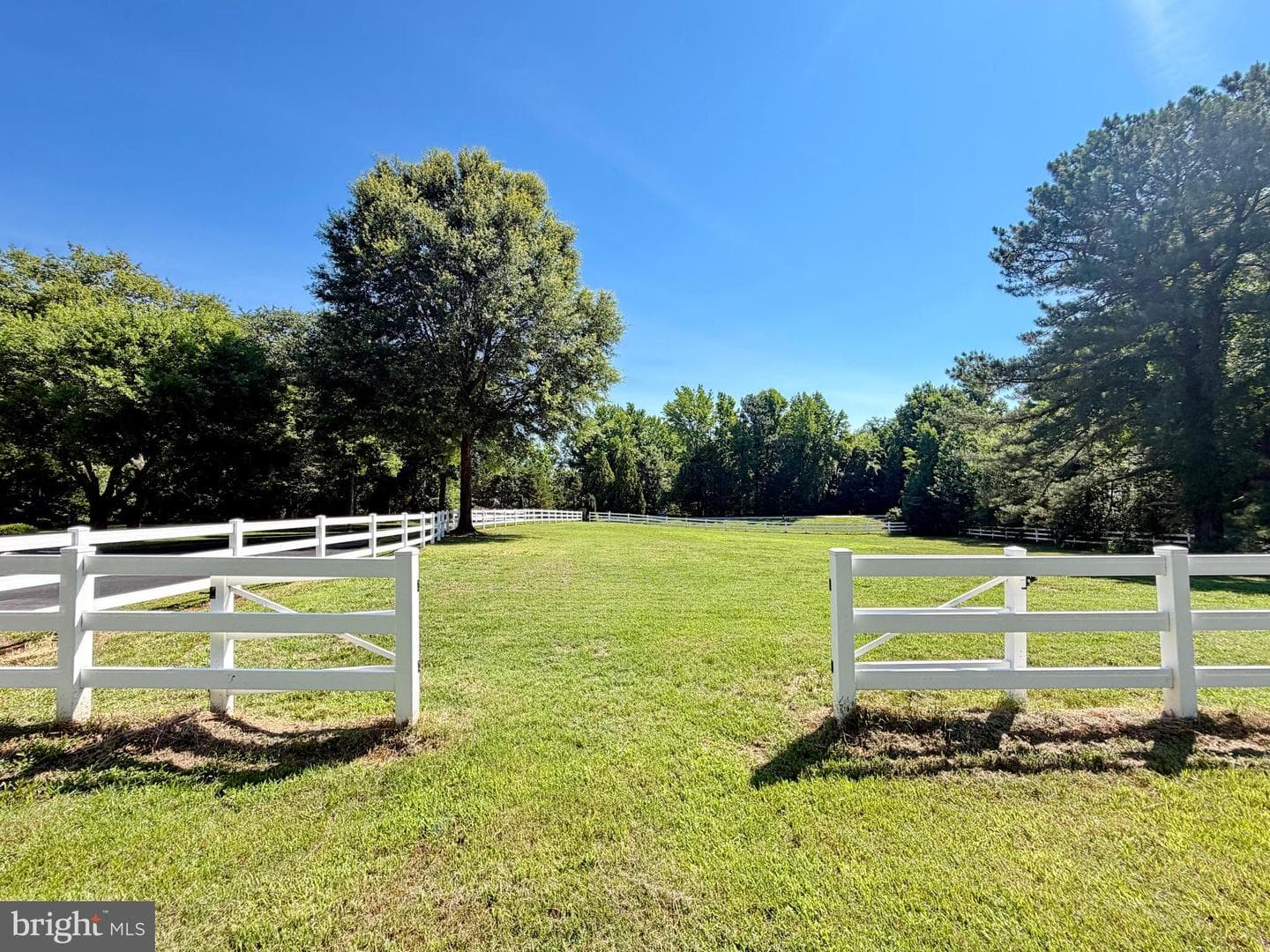 13655 Waverly Point Road photo 101