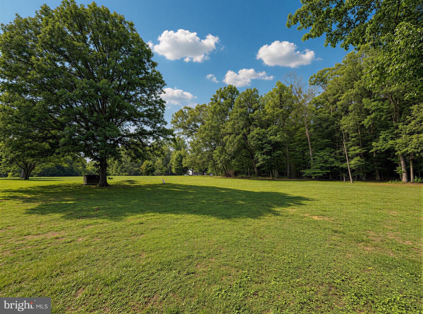 9600 Adams Willett Road photo 43
