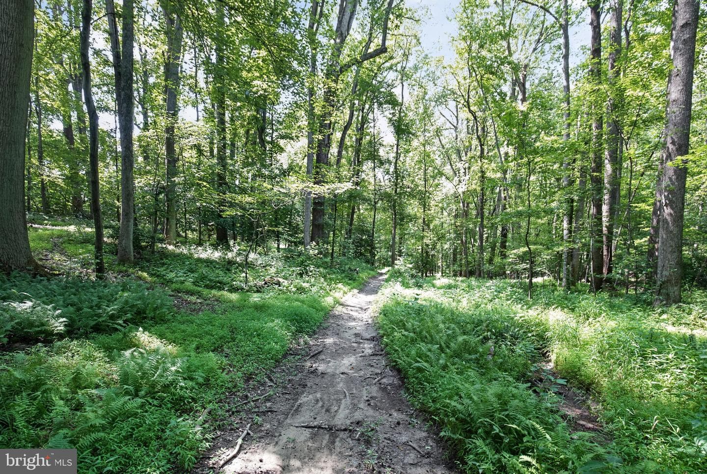 11450 Edge Hill Road photo 54