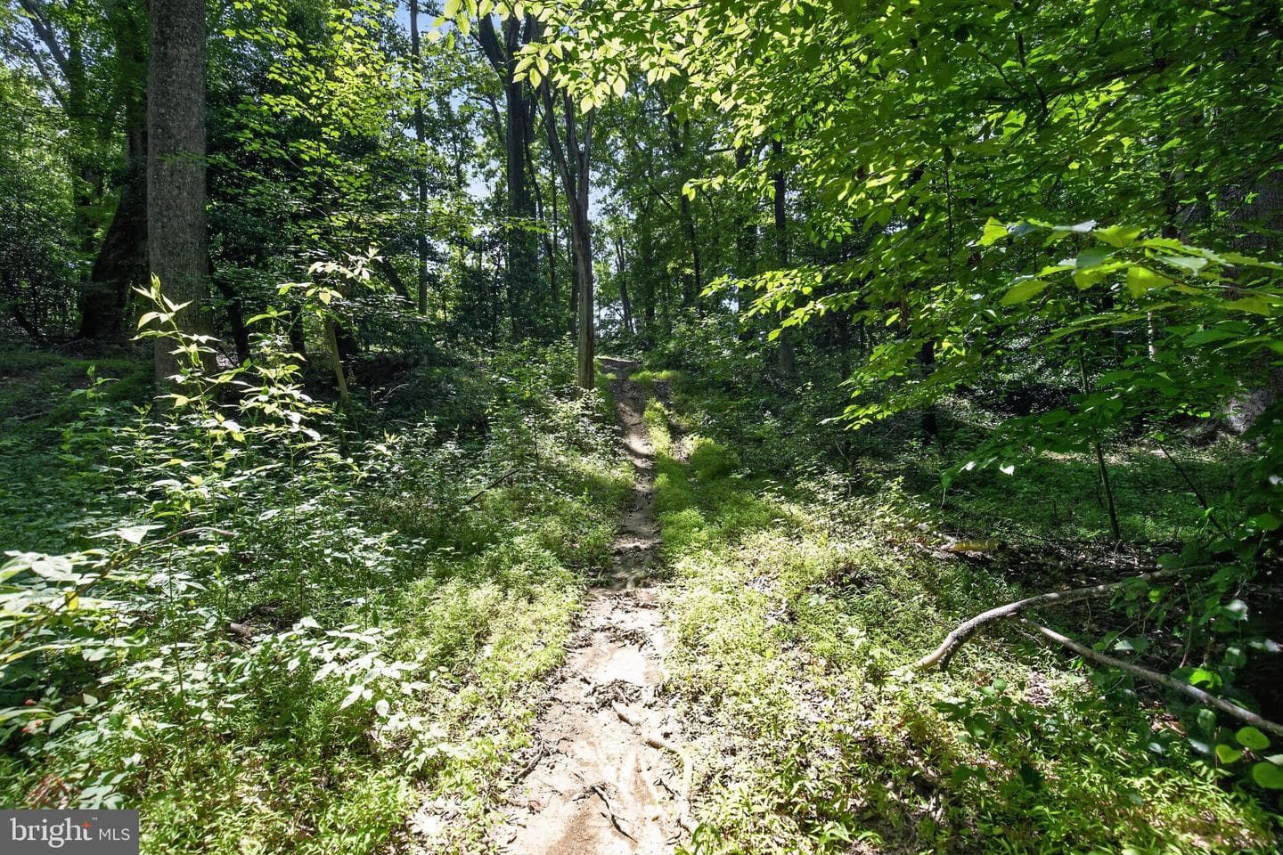 11450 Edge Hill Road photo 55